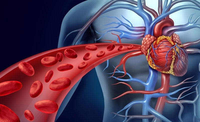 Koroner Bypass veya Stent Sonrası 